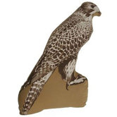 Falcon Large Cushion