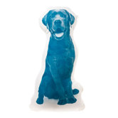 Mini Organic Cotton Labrador Retriever Pillow
