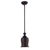 Chadwick 1 Light Mini Pendant