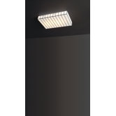 Cebra Four Light Wall / Ceiling Light