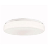 2 Light Steel Flush Mount