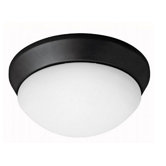 1 Light Flush Mount