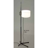 Metal Floor Lamp