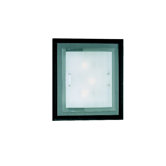 Wand-/Deckenleuchte Lindo in Transparent