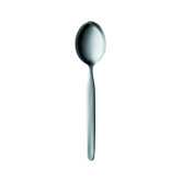 20 Collection Stainless Steel Table Spoon
