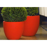 Cuenco Fang Round Flower Pot Planter