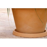 Fang Round Plate