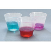 Translucent Cup