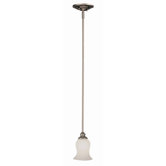 1 Light Mini Pendant