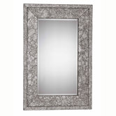 Jewelry 46" x 30" Mirror in Brushed Steel