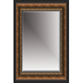 Beveled Mirror in Antique Gold Black