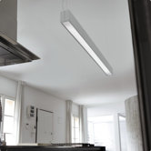 Toy 2 Light Pendant