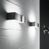 Toy 1 Light Wal Sconce