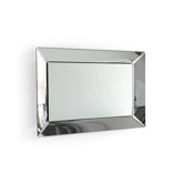 Pleasure Vertical Mirror