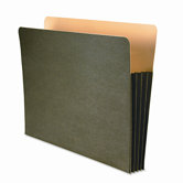 Wilson Jones Recycled File Pocket, Straight Cut, Letter