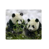 NatureSmart Mouse Pad - Panda