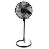 Adjustable Pedestal Fan,16", Oscillating, Metal