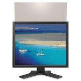 Widescreen 19" LCD Filter