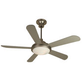 Ceiling Fans with Lights