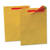 Reveal-N-Seal Catalog Envelope, 10 X 13, Light Brown, 100/box