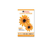 Copy Paper, 20 lbs, 5000 Sheets/Carton