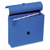 Colorlife 5 1/4 Inch Expansion File, Five Pockets, Letter