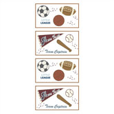 Sports Fan Removable Wall Appliques