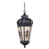 Berkshire  Outdoor Hanging Lantern in Bronze