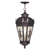 Berkshire  Outdoor Hanging Lantern in Bronze