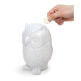 Coin Bank Owl