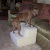 Big Dawg Foam Pet Stairs With Sherpa Cover