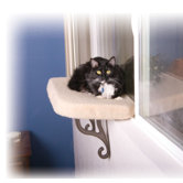 Cozy Kitty Window Perch
