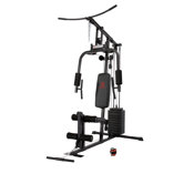 100 lbs Stack Home Gym