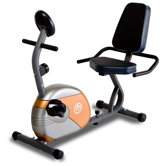 Recumbent Bike