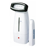 Travel Steamer