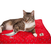 Bird On A Wire Square Cat Duvet