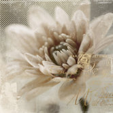 Blooming Softly II Canvas Wall Art