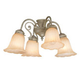 Four Light Ceiling Fan Light Kit