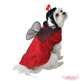Ladybug Dog Costume
