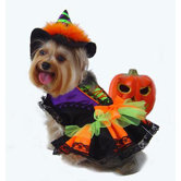 Halloween Witch Dog Costume