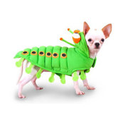 Caterpillar Dog Costume