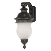 Luxor 26.25" x 11"  Arm Down Wall Lantern in Chestnut Bronze