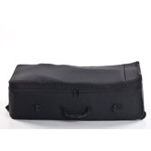 Single Stroller Travel Case