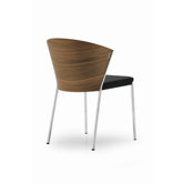 Mya Wood / Leather Dining Chair