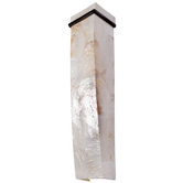 Sustainable Shell Big Sconce - Three Light