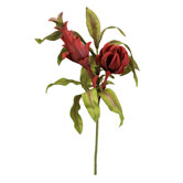 Vivien Floral Bundle