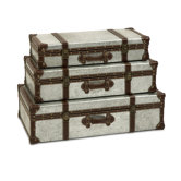 Theodric Galvanized Trunks (Set of 3)