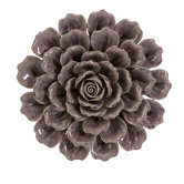 Magdalyn Ceramic Wall Flower