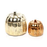 Chandler Mercury Glass Pumpkins (Set of 2)