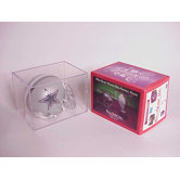 NFL Mini Display Box